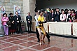 PETS_374