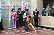 PETS_390