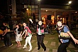 Thumbnail of YnC335.jpg