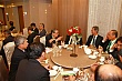 Thumbnail of YL231.jpg