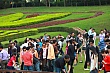 G165.jpg