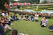 Thumbnail of G250.jpg