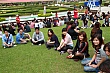 Thumbnail of G266.jpg
