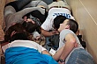 RYLA187.jpg