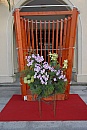 DSC_3428.jpg