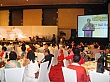 Thumbnail of DSC02094.jpg
