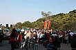 10_205.jpg