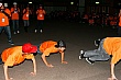 RYLC146.jpg