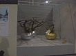 CIMG3218.JPG