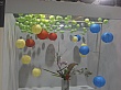 CIMG3219.JPG