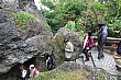 Thumbnail of 31_193.jpg