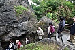 Thumbnail of 31_194.jpg