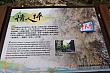 Thumbnail of 31_204.jpg
