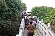 Thumbnail of 31_211.jpg