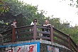 Thumbnail of 31_215.jpg
