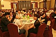 Thumbnail of evY233.jpg