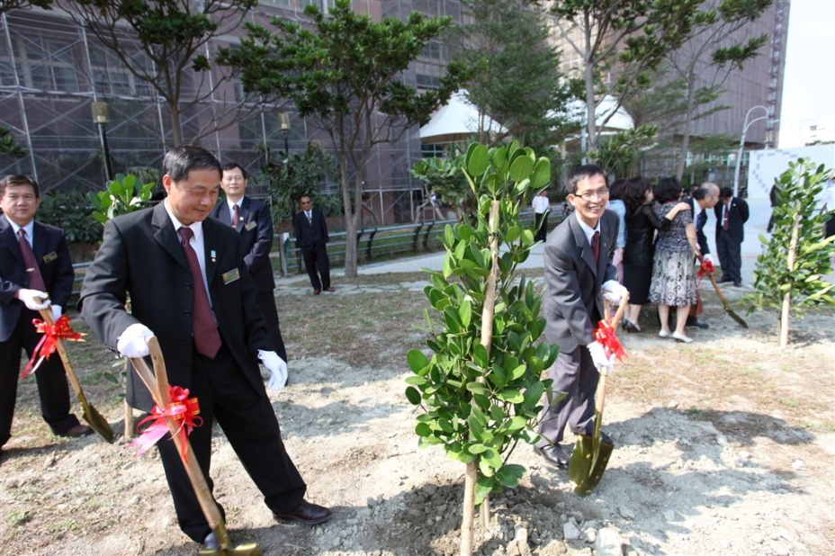 tree142.jpg