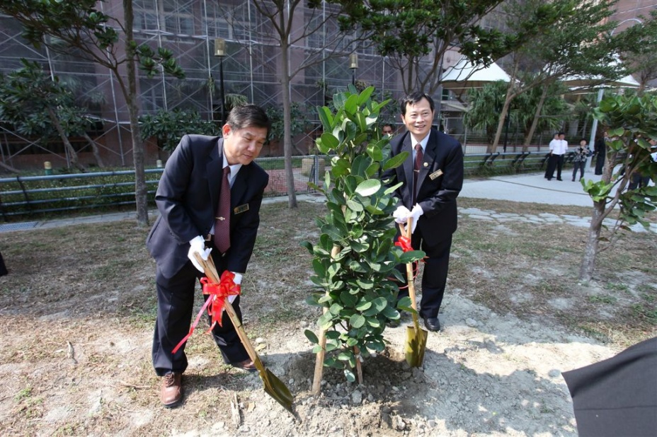 tree143.jpg