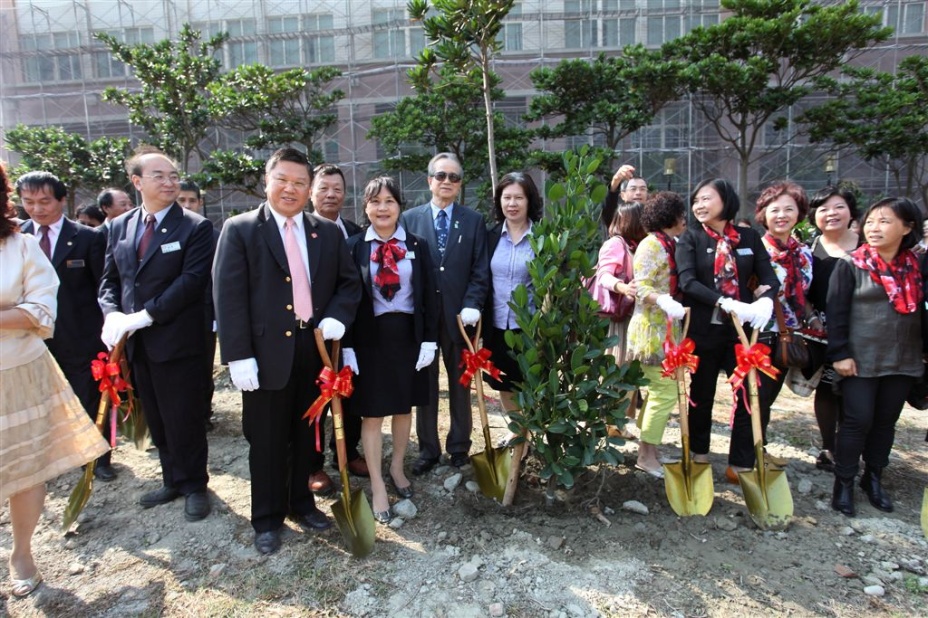 tree161.jpg