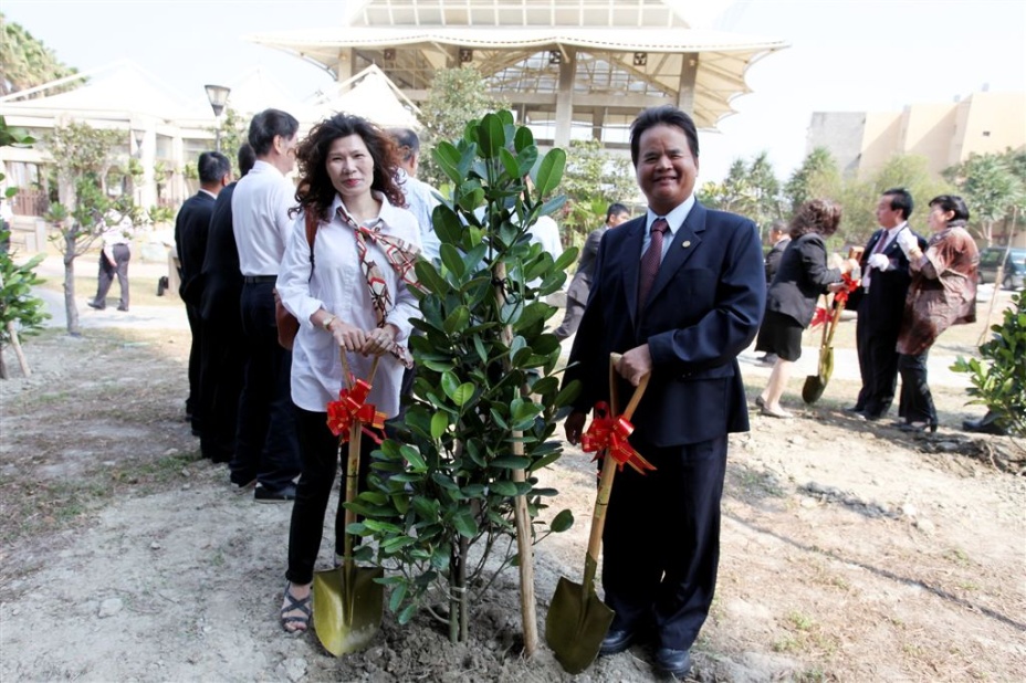 tree184.jpg