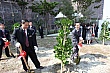 tree142.jpg