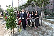 tree144.jpg