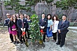 tree163.jpg