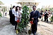 tree184.jpg