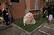p_72.jpg
