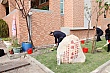p_74.jpg