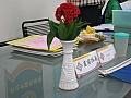 c236.jpg