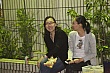 fstv75.jpg
