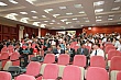 dm047.jpg