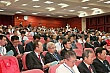 dm099.jpg