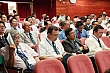 dm161.jpg
