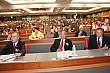 rf138.jpg