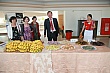 rf186.jpg