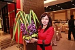 Thumbnail of 32_506.jpg