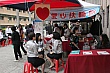 Thumbnail of 24_895.jpg