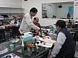 c0761.jpg