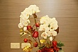 d039.jpg