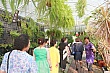 t048.jpg