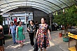t058.jpg