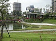 8482.jpg