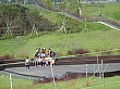 8483.jpg