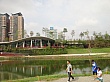 8485.jpg