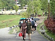 8487.jpg
