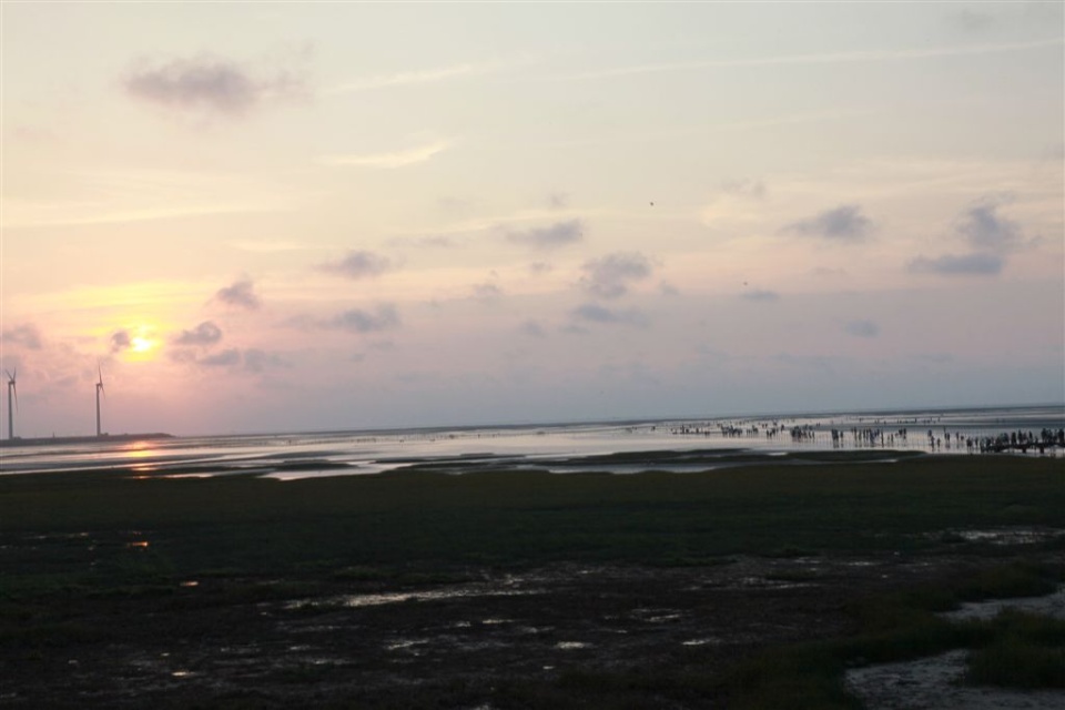 h023.jpg