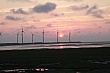 h038.jpg