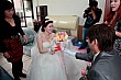 Thumbnail of v206.jpg